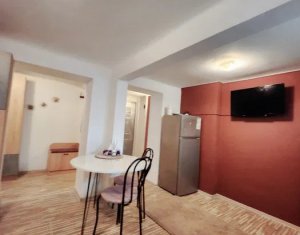 Apartament 1 camera modern, central, Horea