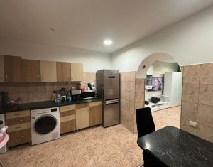 Appartement 2 chambres à vendre dans Cluj-napoca, zone Andrei Muresanu