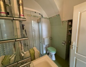 Appartement 1 chambres à vendre dans Cluj-napoca, zone Centru