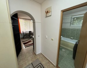 Apartment 1 rooms for sale in Cluj-napoca, zone Buna Ziua