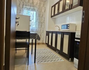 Apartment 1 rooms for sale in Cluj-napoca, zone Buna Ziua