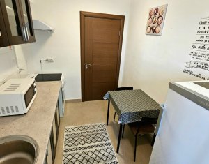 Apartament Cochet de 37 mp Utili cu Gradina de 50 mp in Buna Ziua