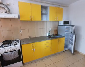 Apartament cu doua camere, mobilat, strada Somesului