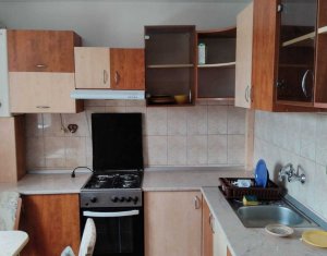 Apartament cu 1 camera in Manastur aproape de Parcul Rozelor